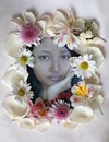 Bunga hati